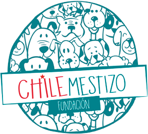 Logotipo Fundación Chile Mestizo